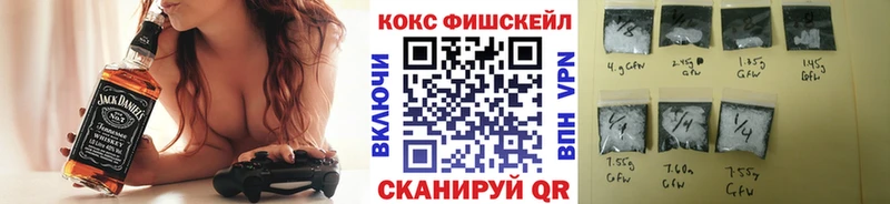 Cocaine Fish Scale  Купить где  Спасск 