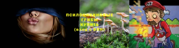 ECSTASY Вязники
