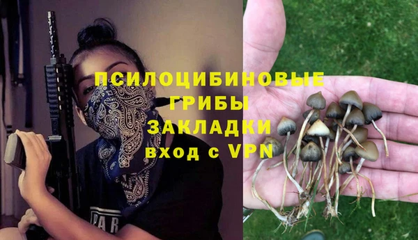 соль ск Вяземский