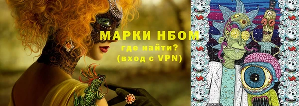 соль ск Вяземский
