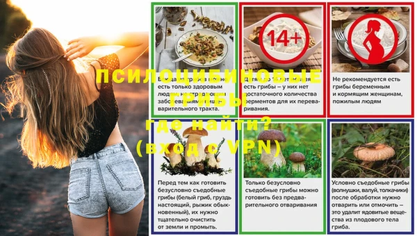 ECSTASY Вязники