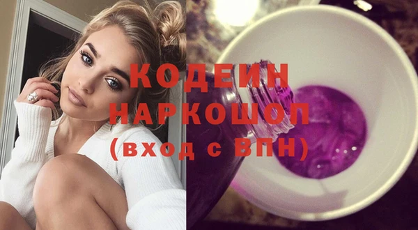 соль ск Вяземский